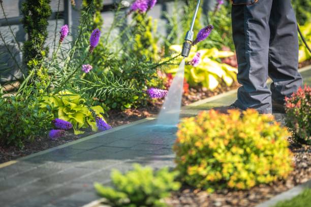 Trusted Marsing, ID Pressure Washing Services Experts